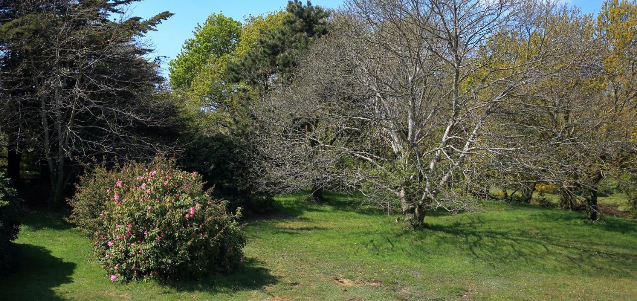 Aux Arbres Chanteurs Ploulech ภายนอก รูปภาพ
