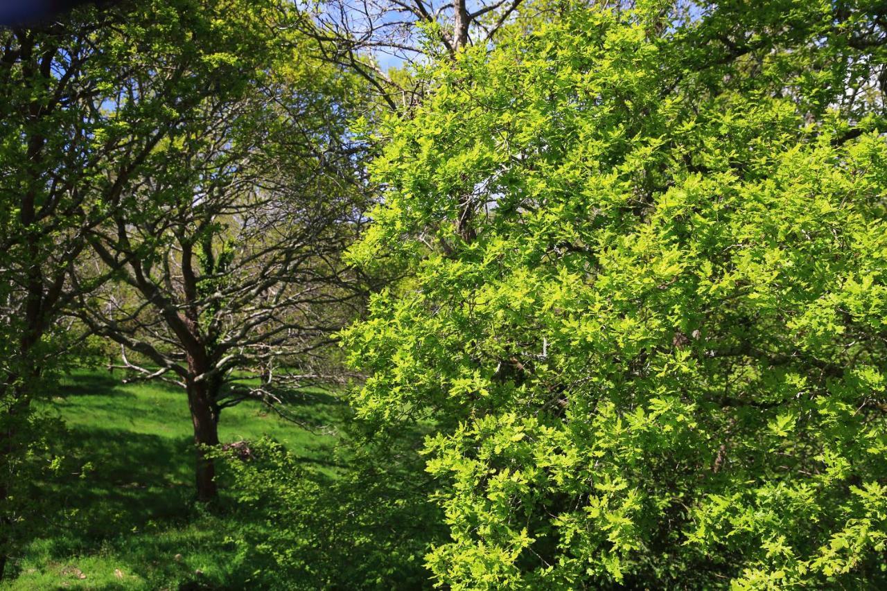 Aux Arbres Chanteurs Ploulech ภายนอก รูปภาพ