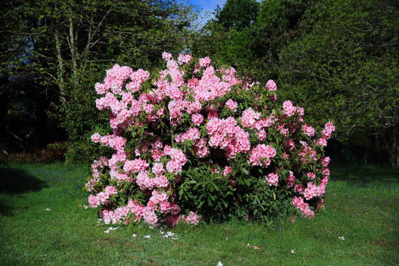 Aux Arbres Chanteurs Ploulech ภายนอก รูปภาพ