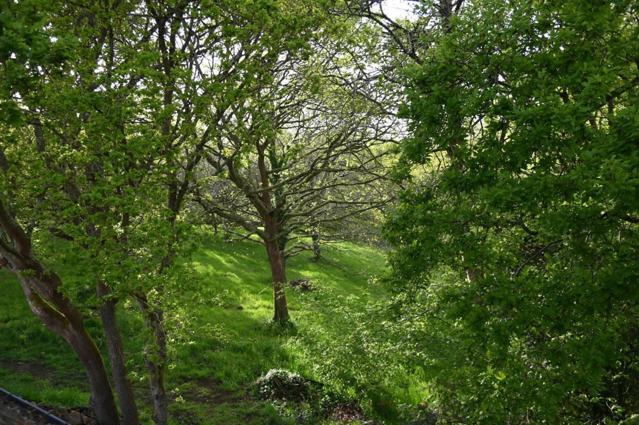 Aux Arbres Chanteurs Ploulech ภายนอก รูปภาพ